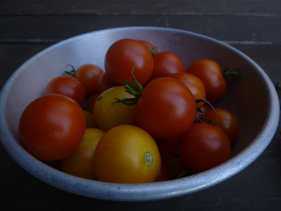 tomato1411 (1).JPG